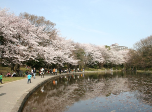 せせらぎ公園　リフォーム　子育て